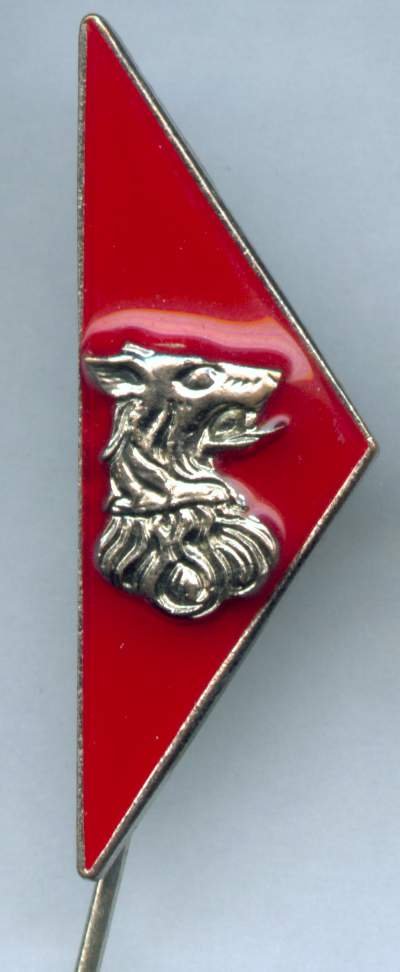 Image-21_10.JPG