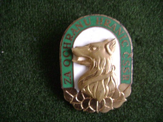 1035043257.jpg