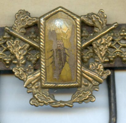 img079.jpg