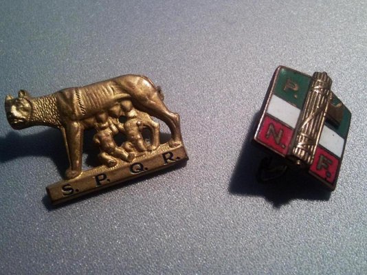 79° Infantry Regiment Pasubio Division.JPG