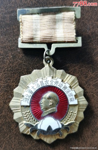 16481176.jpg
