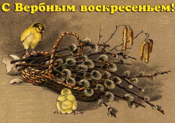 1521726978_otkrytki-kartinki-s-verbnym-voskreseniem-6.jpg