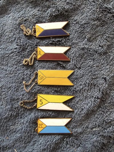 441205897_1491564041735299_189612876165935567_n (1).jpg