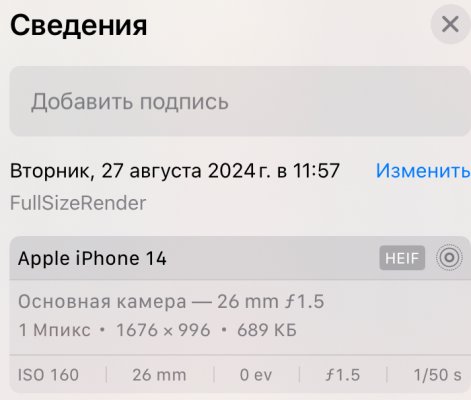 IMG_8918.jpeg
