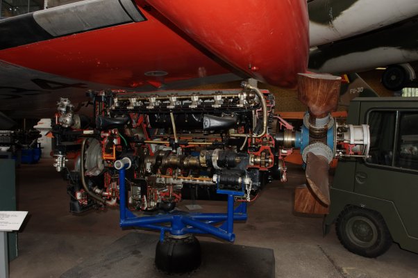 _DSC9502.jpg