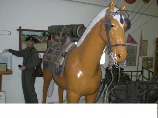 CIMG4982.JPG