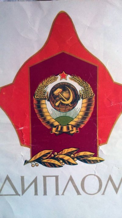 Диплом им Карацупы ВЧ 2446 Арташатск.ПогО (1).jpg
