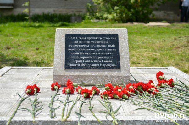 май 2016 Хабаровск.jpg