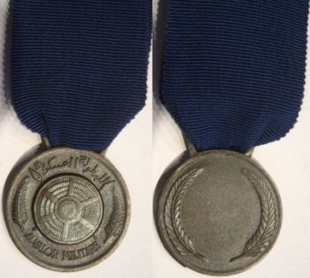 medaglia al valore militare in Somalia AFIS molto rara.JPG