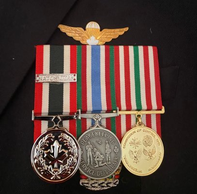 Navikėnas Rimvydas 1973 08 jo apdovanojimai х.jpg