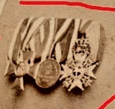 braunb1.jpg