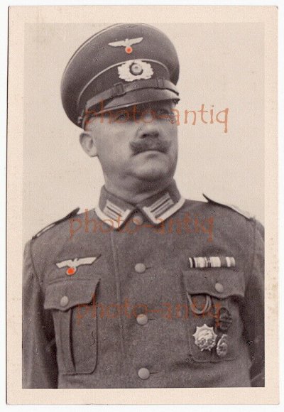 slon1.jpg