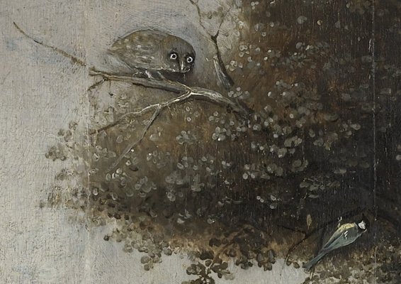 Hieronymus_Bosch_013.jpg