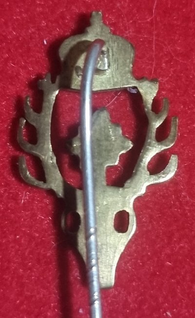 20260401_225033.jpg
