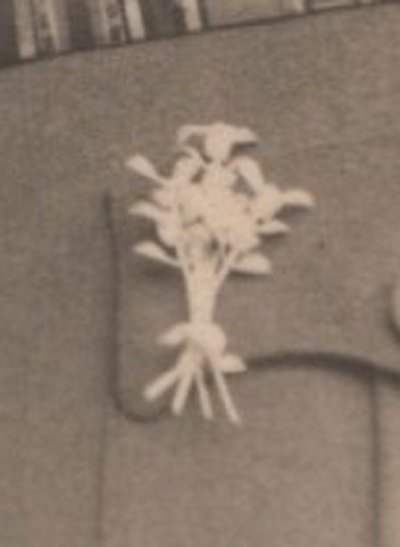 rangliste4.jpg