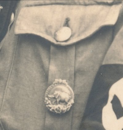 slon10.jpg