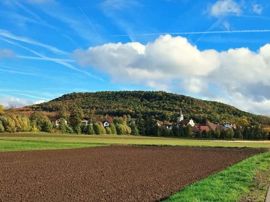 KleinbardorfTOTAL.jpg
