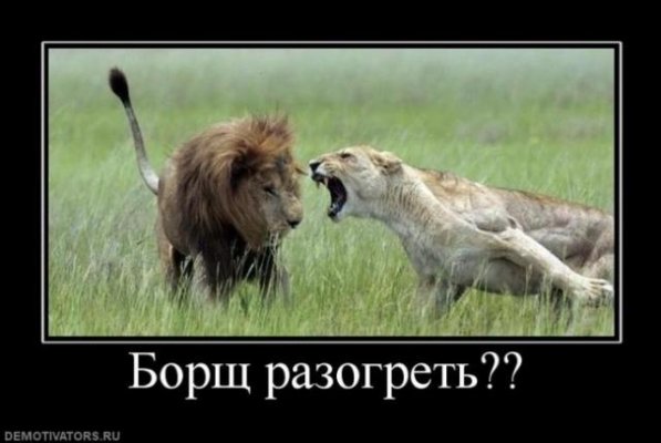 zprt8mbi.jpg