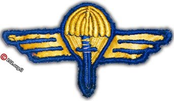 wing8a.jpg