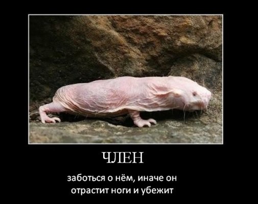 7k518yeb.jpg