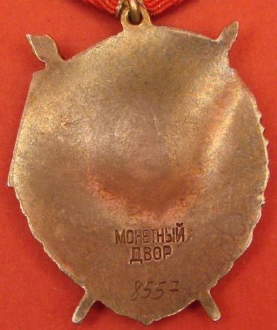 8557.jpg