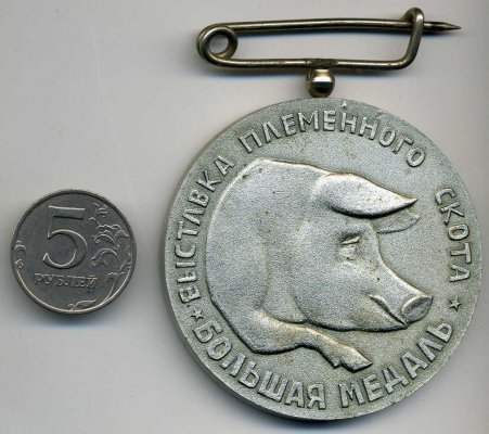 img007.jpg