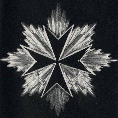 №2(Bruststern).JPG