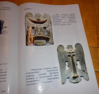 P1000008.JPG