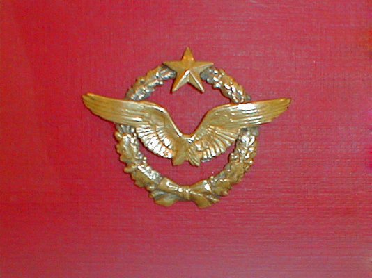 aero_znak_popova.jpg