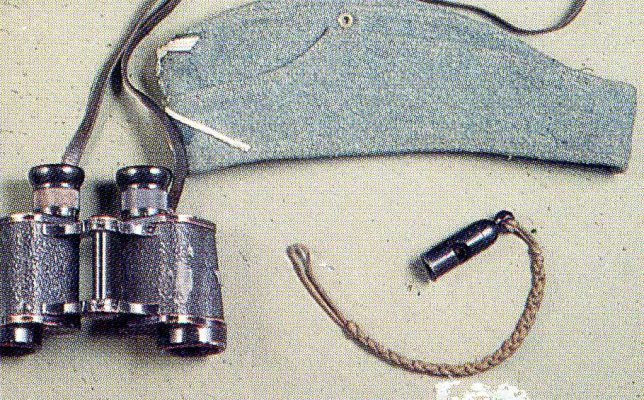 img232.jpg