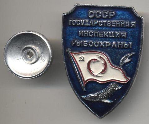 000034.jpg
