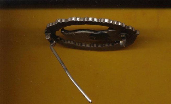 4067484.jpg