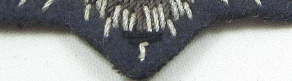 CIMG4618-20110714.jpg