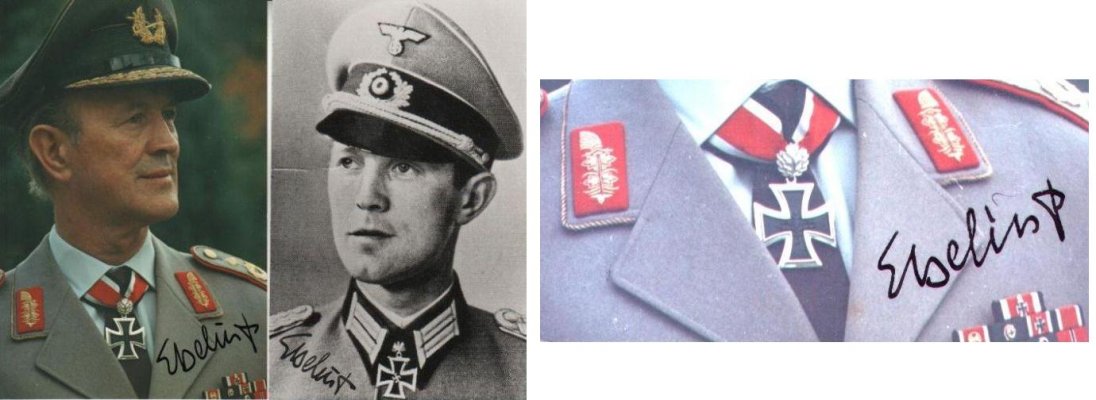 Werner Ebeling.jpg