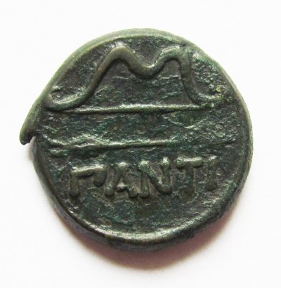 ant1.jpg