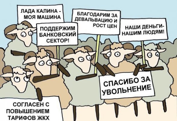 bar.jpg
