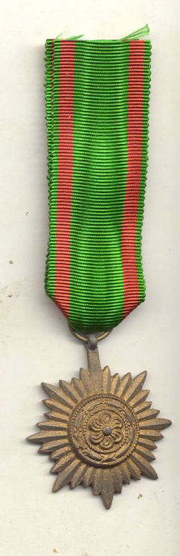 3499655.jpg