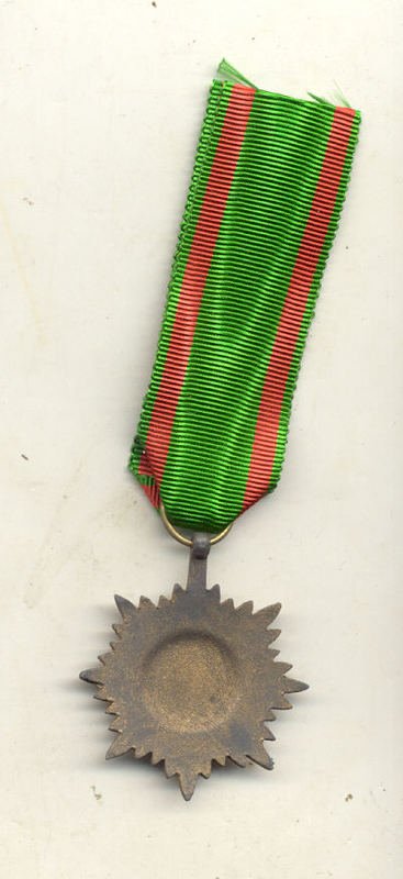 3499656.jpg