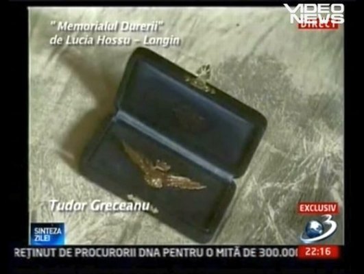 TG6.jpg