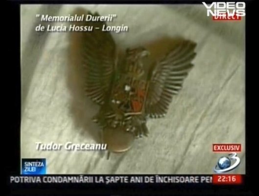TG8.jpg