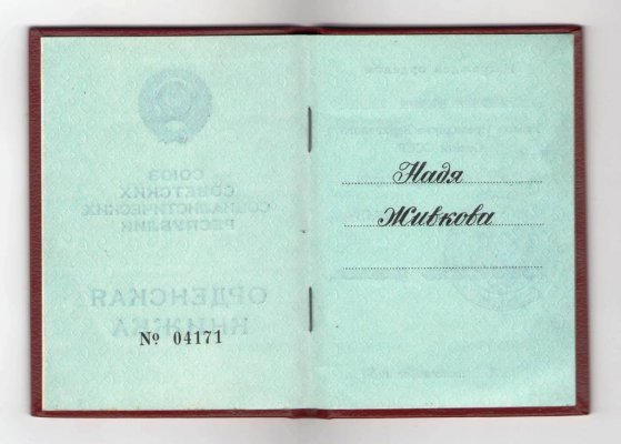 Копия 10003.JPG