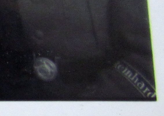 zw8a.jpg