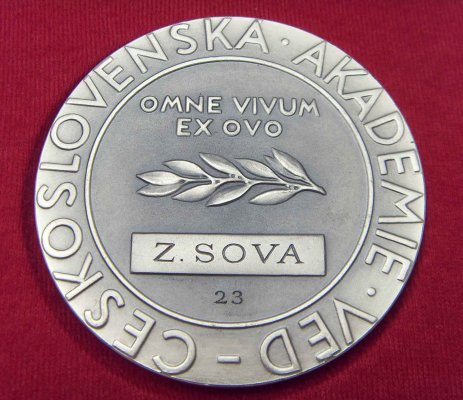 SDC12046.JPG