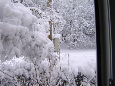 t_sta72275_983.jpg