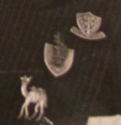 555.jpg