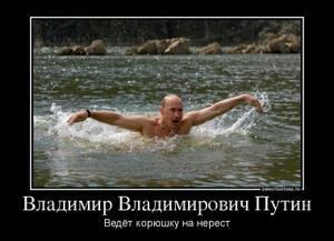 96903442_vladimir-vladimirovich-putin_thumbnail.jpg