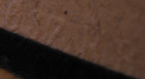 IMG_3178.jpg