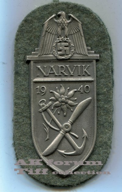 img197 copy.jpg