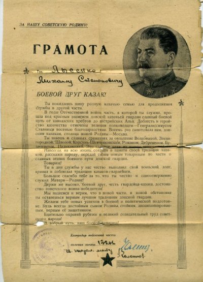 img882_800.jpg
