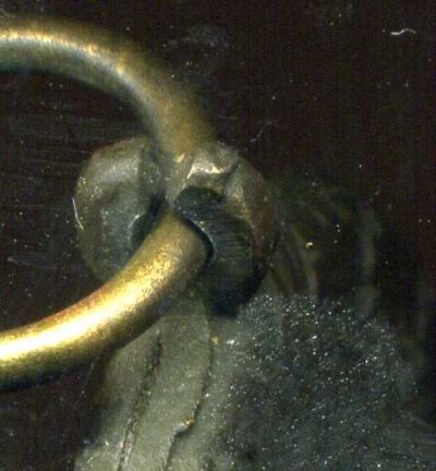 img450.jpg